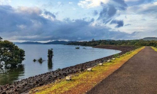 backwater-dandeli-768x512